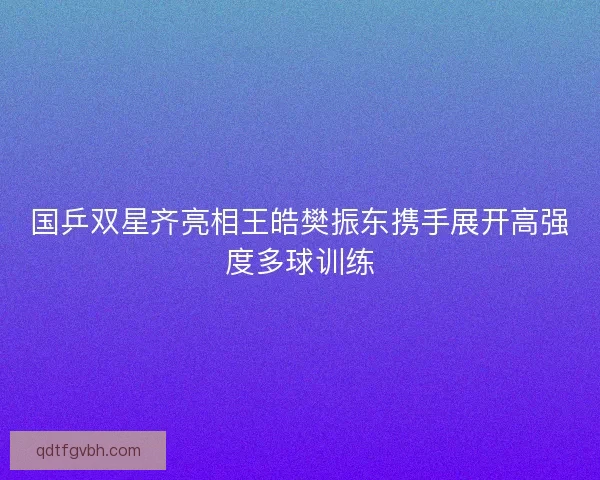 国乒双星齐亮相王皓樊振东携手展开高强度多球训练