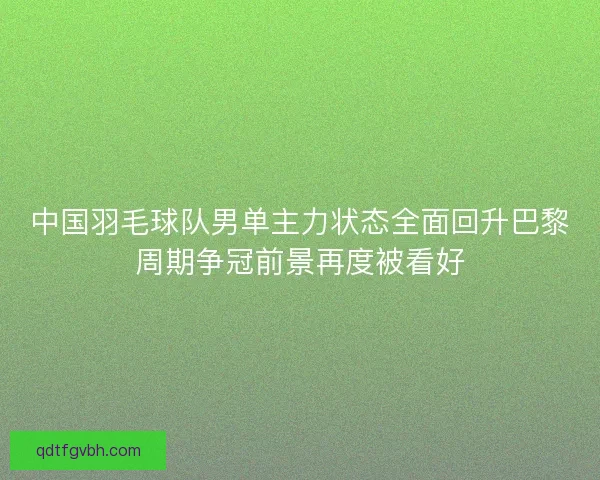 中国羽毛球队男单主力状态全面回升巴黎周期争冠前景再度被看好
