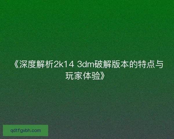 《深度解析2k14 3dm破解版本的特点与玩家体验》